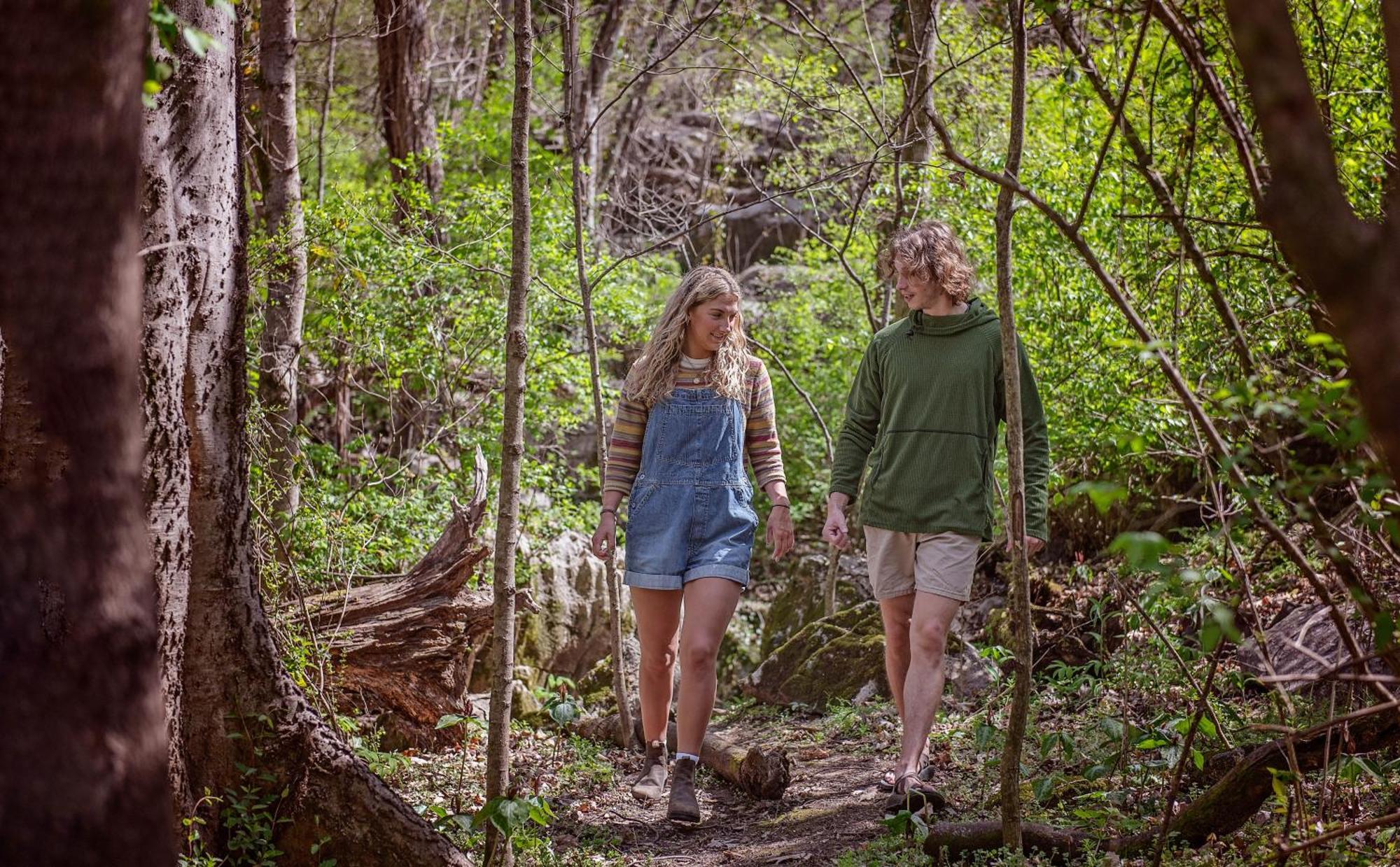 שאטאנוגה Meg Cabin Tiny Rustic Comfort On Lookout Mtn מראה חיצוני תמונה